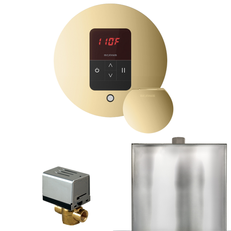Mr. Steam Basic Butler Steam Shower Control Package with iTempo Control and Steamhead