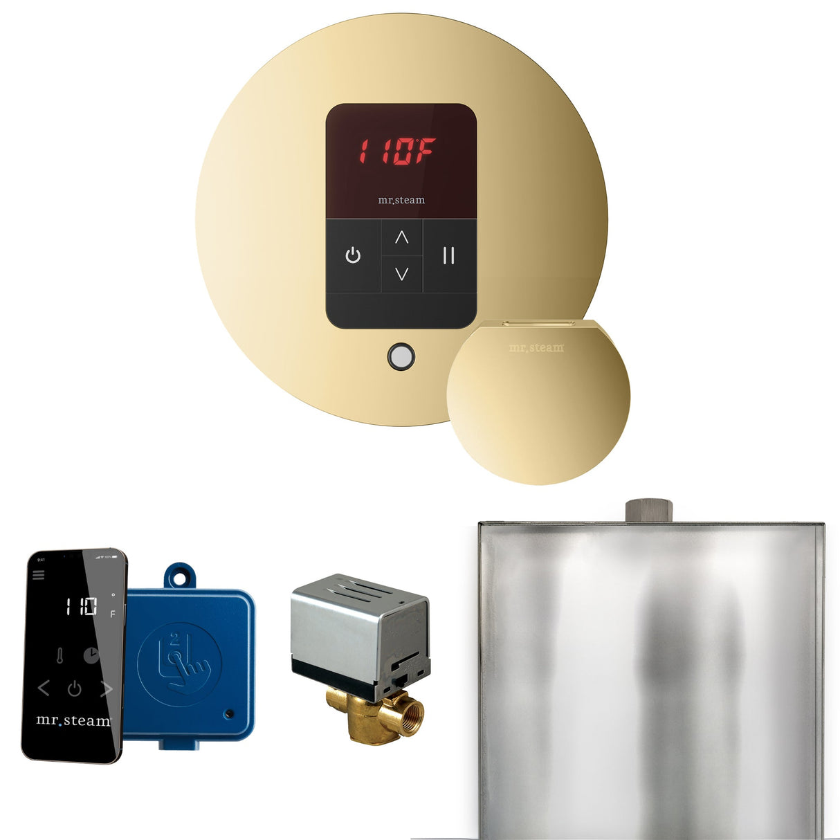 Mr. Steam Basic Butler Steam Shower Control Package with iTempo Control and Steamhead
