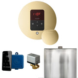 Mr. Steam Basic Butler Steam Shower Control Package with iTempo Control and Steamhead