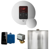 Mr. Steam Basic Butler Steam Shower Control Package with iTempo Control and Steamhead