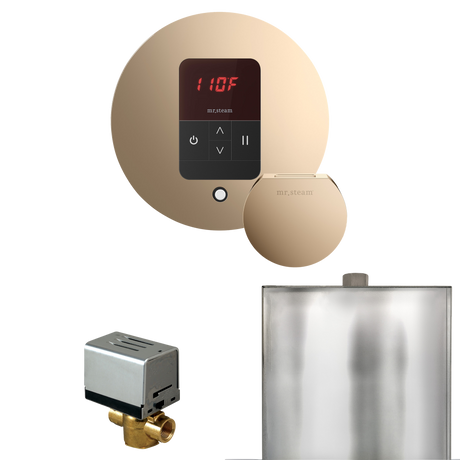 Mr. Steam Basic Butler Steam Shower Control Package with iTempo Control and Steamhead
