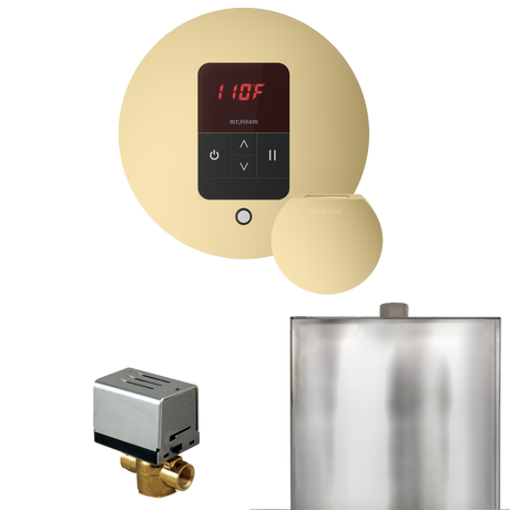 Mr. Steam Basic Butler Steam Shower Control Package with iTempo Control and Steamhead