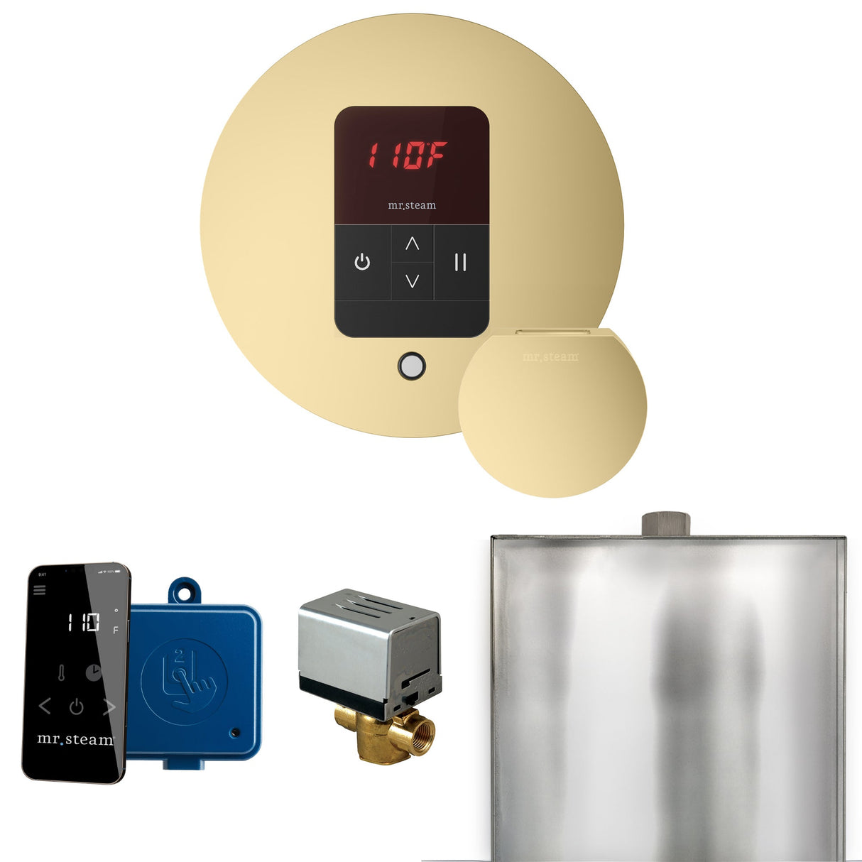Mr. Steam Basic Butler Steam Shower Control Package with iTempo Control and Steamhead