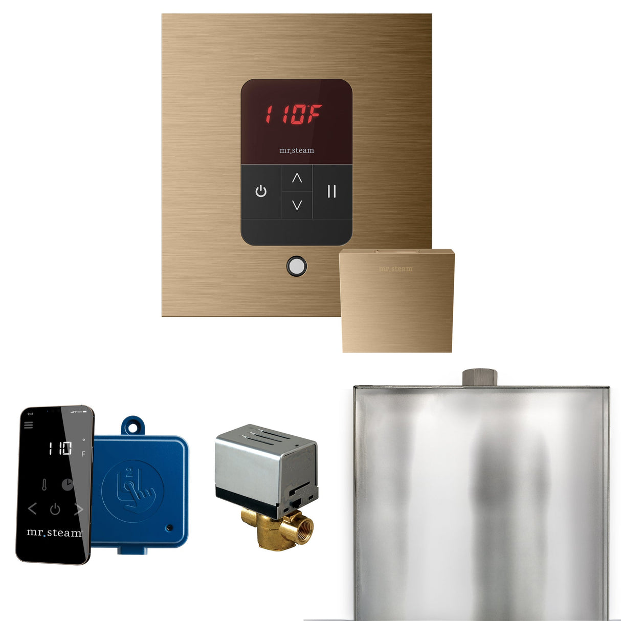 Mr. Steam Basic Butler Steam Shower Control Package with iTempo Control and Steamhead