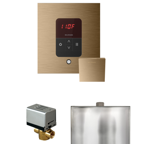 Mr. Steam Basic Butler Steam Shower Control Package with iTempo Control and Steamhead