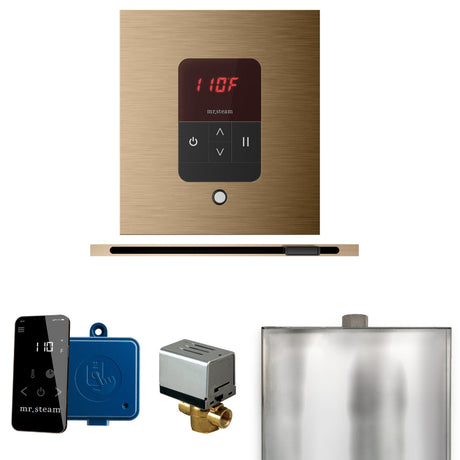 Mr. Steam Basic Butler Steam Control Package with iTempo Control and Linear Steamhead