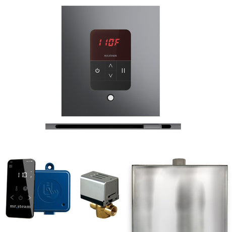 Mr. Steam Basic Butler Steam Control Package with iTempo Control and Linear Steamhead