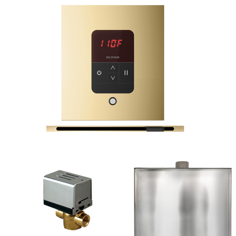 Mr. Steam Basic Butler Steam Control Package with iTempo Control and Linear Steamhead
