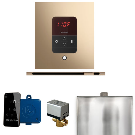 Mr. Steam Basic Butler Steam Control Package with iTempo Control and Linear Steamhead