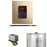 Mr. Steam Basic Butler Steam Control Package with iTempo Control and Linear Steamhead