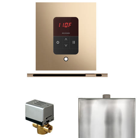 Mr. Steam Basic Butler Steam Control Package with iTempo Control and Linear Steamhead