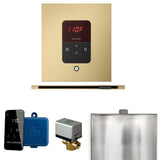 Mr. Steam Basic Butler Steam Control Package with iTempo Control and Linear Steamhead