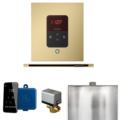Mr. Steam Basic Butler Steam Control Package with iTempo Control and Linear Steamhead