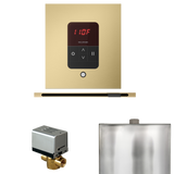 Mr. Steam Basic Butler Steam Control Package with iTempo Control and Linear Steamhead