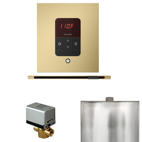 Mr. Steam Basic Butler Steam Control Package with iTempo Control and Linear Steamhead