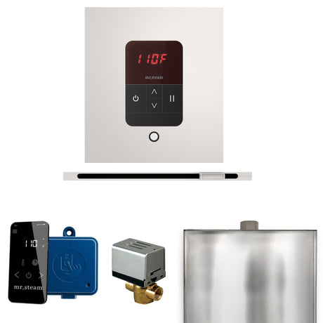 Mr. Steam Basic Butler Steam Control Package with iTempo Control and Linear Steamhead