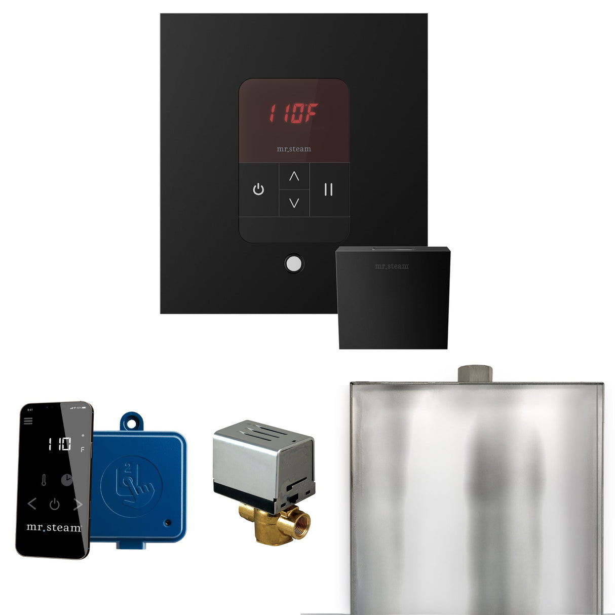 Mr. Steam Basic Butler Steam Shower Control Package with iTempo Control and Steamhead