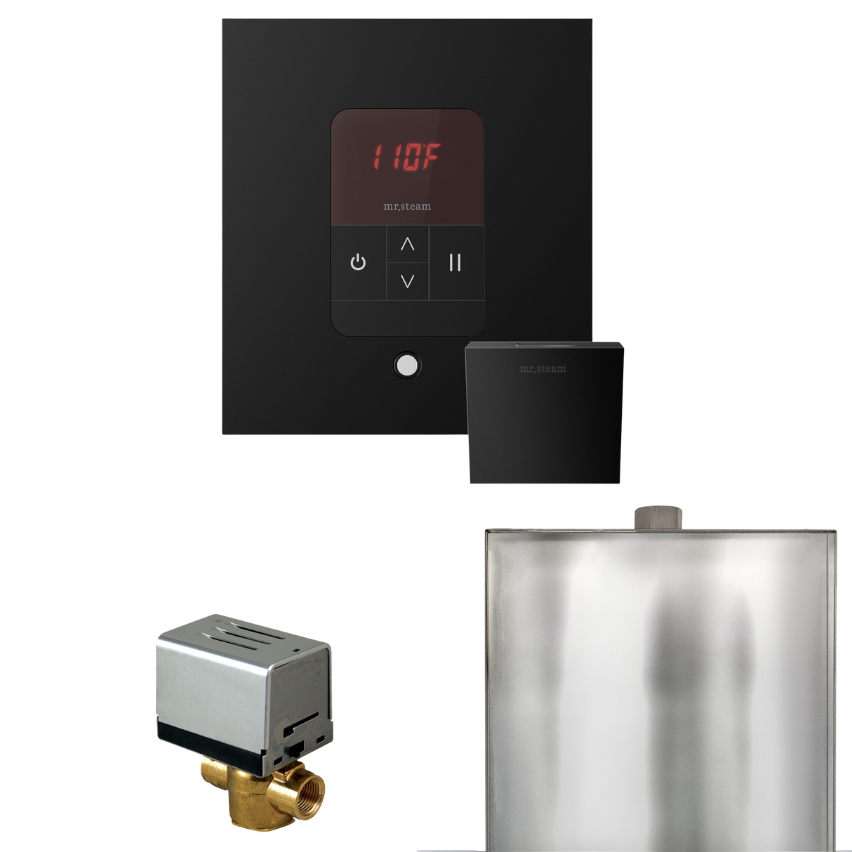 Mr. Steam Basic Butler Steam Shower Control Package with iTempo Control and Steamhead