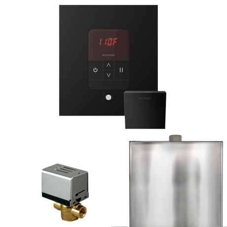 Mr. Steam Basic Butler Steam Shower Control Package with iTempo Control and Steamhead