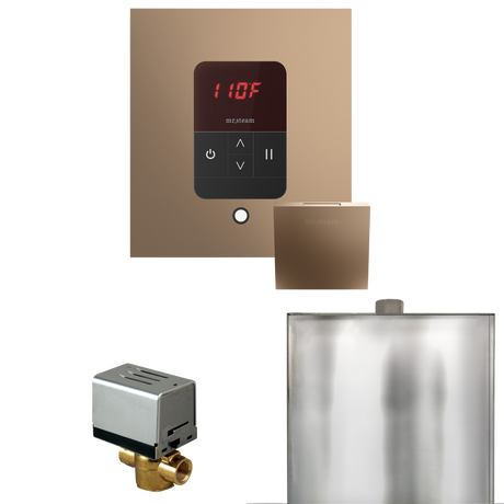 Mr. Steam Basic Butler Steam Shower Control Package with iTempo Control and Steamhead
