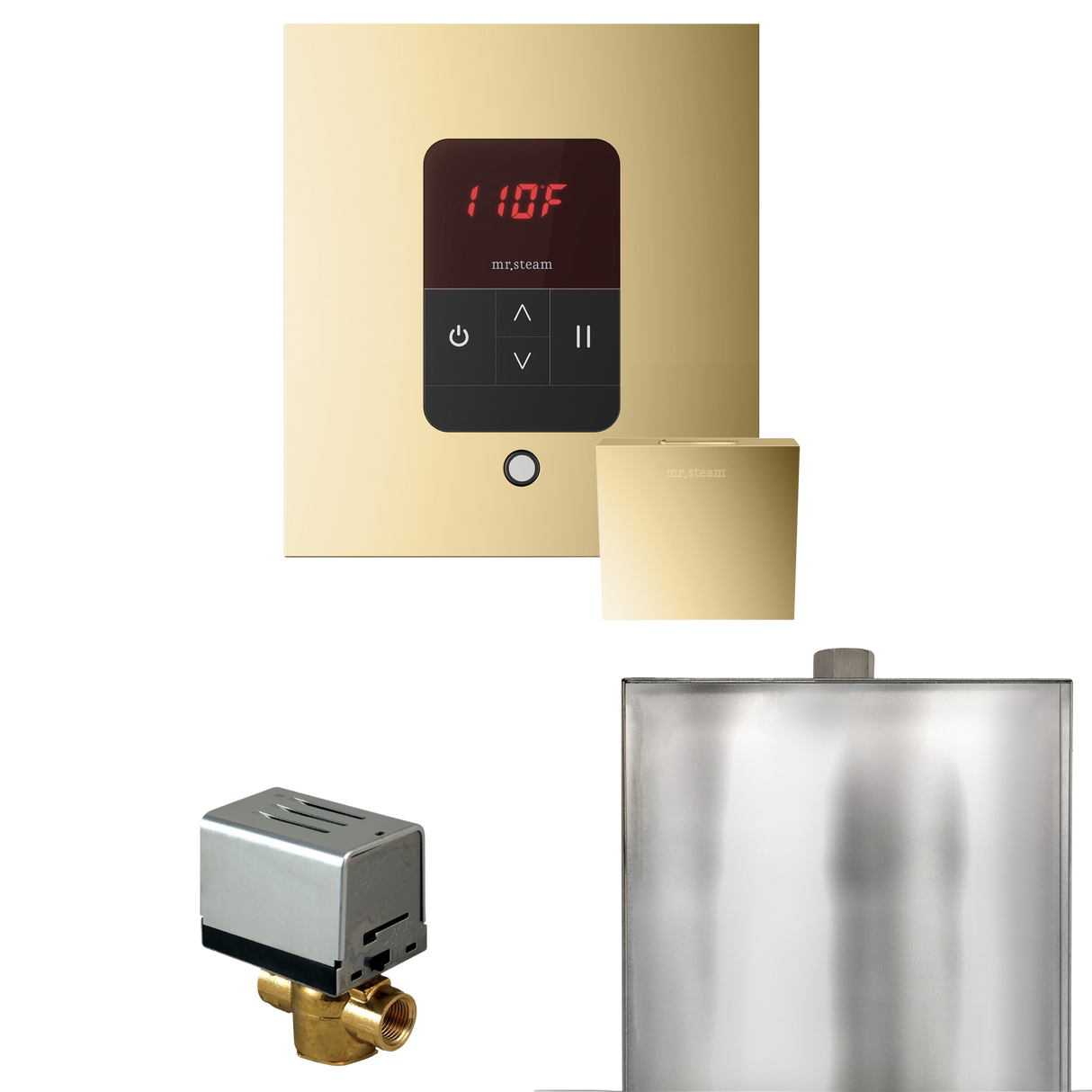 Mr. Steam Basic Butler Steam Shower Control Package with iTempo Control and Steamhead