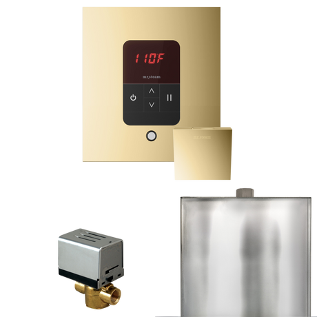 Mr. Steam Basic Butler Steam Shower Control Package with iTempo Control and Steamhead