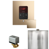 Mr. Steam Basic Butler Steam Shower Control Package with iTempo Control and Steamhead