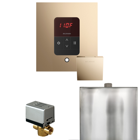 Mr. Steam Basic Butler Steam Shower Control Package with iTempo Control and Steamhead