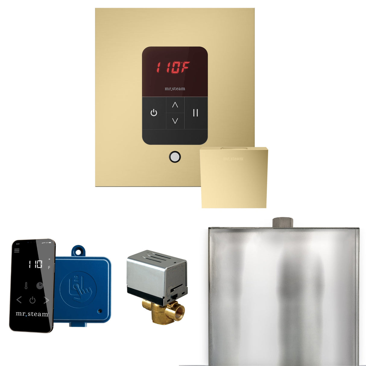Mr. Steam Basic Butler Steam Shower Control Package with iTempo Control and Steamhead