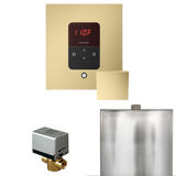 Mr. Steam Basic Butler Steam Shower Control Package with iTempo Control and Steamhead
