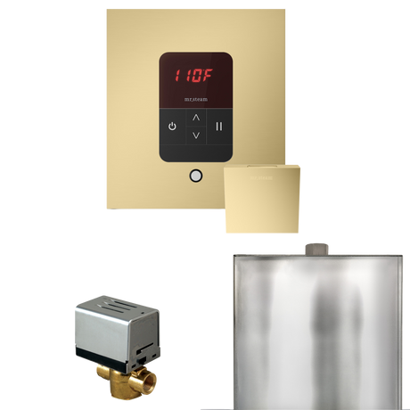 Mr. Steam Basic Butler Steam Shower Control Package with iTempo Control and Steamhead