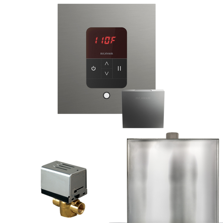 Mr. Steam Basic Butler Steam Shower Control Package with iTempo Control and Steamhead