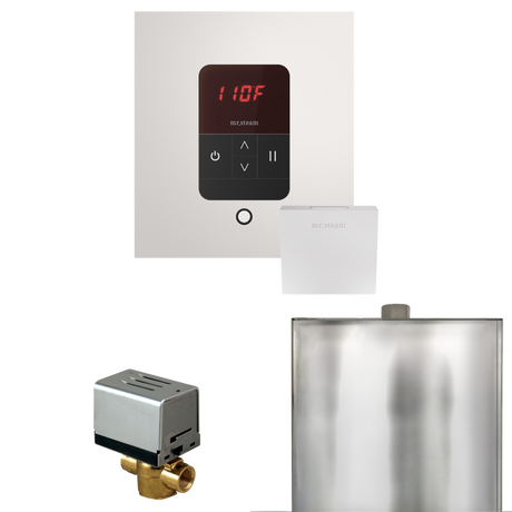 Mr. Steam Basic Butler Steam Shower Control Package with iTempo Control and Steamhead