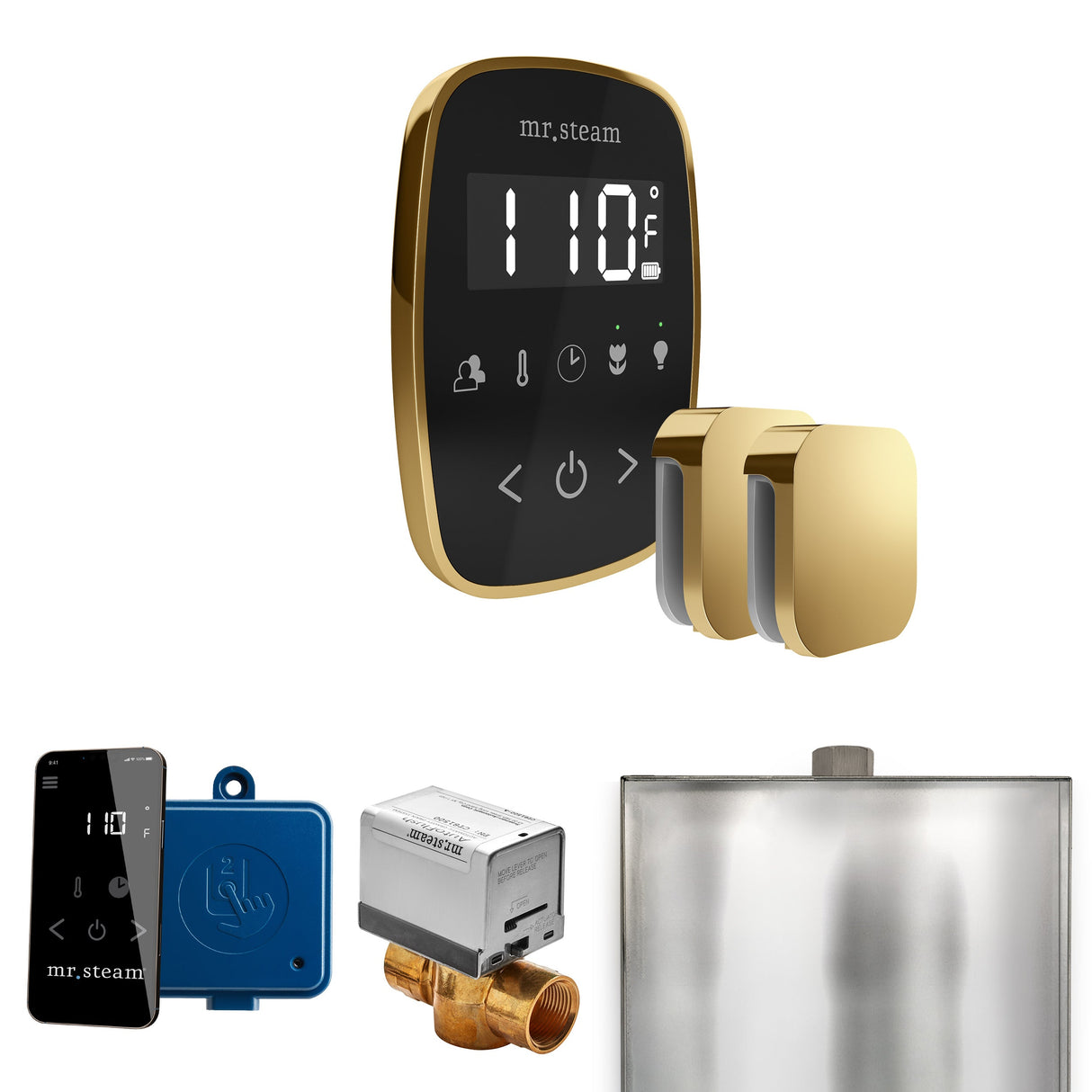 Mr. Steam ButlerFlex Max Steam Shower Control Package with TempoFlex Control and Steamhead