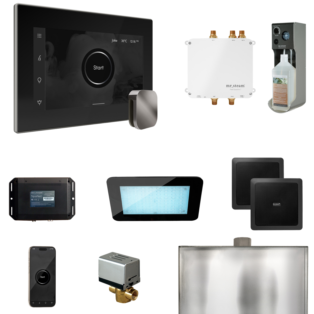 Mr. Steam Bliss Steam Shower Control Package with iSteamX Control and Steamhead