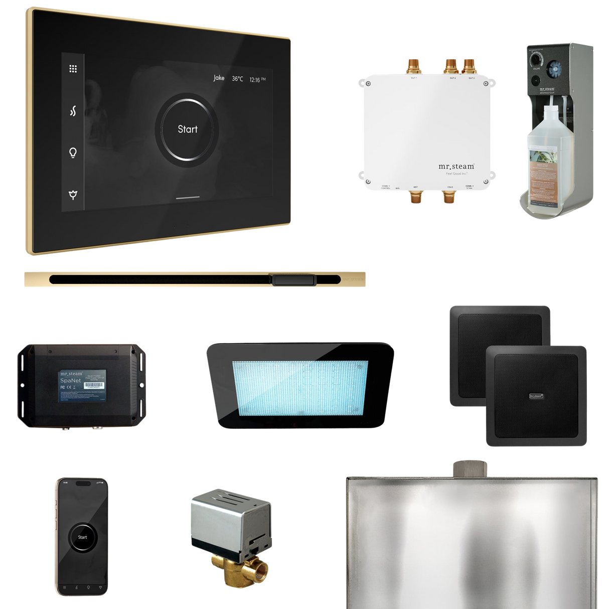Mr. Steam Bliss Steam Shower Control Package with iSteamX Control and Linear Steamhead