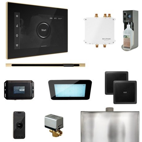 Mr. Steam Bliss Steam Shower Control Package with iSteamX Control and Linear Steamhead
