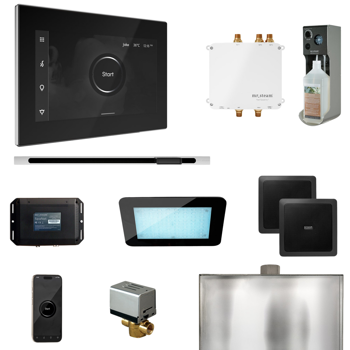 Mr. Steam Bliss Steam Shower Control Package with iSteamX Control and Linear Steamhead