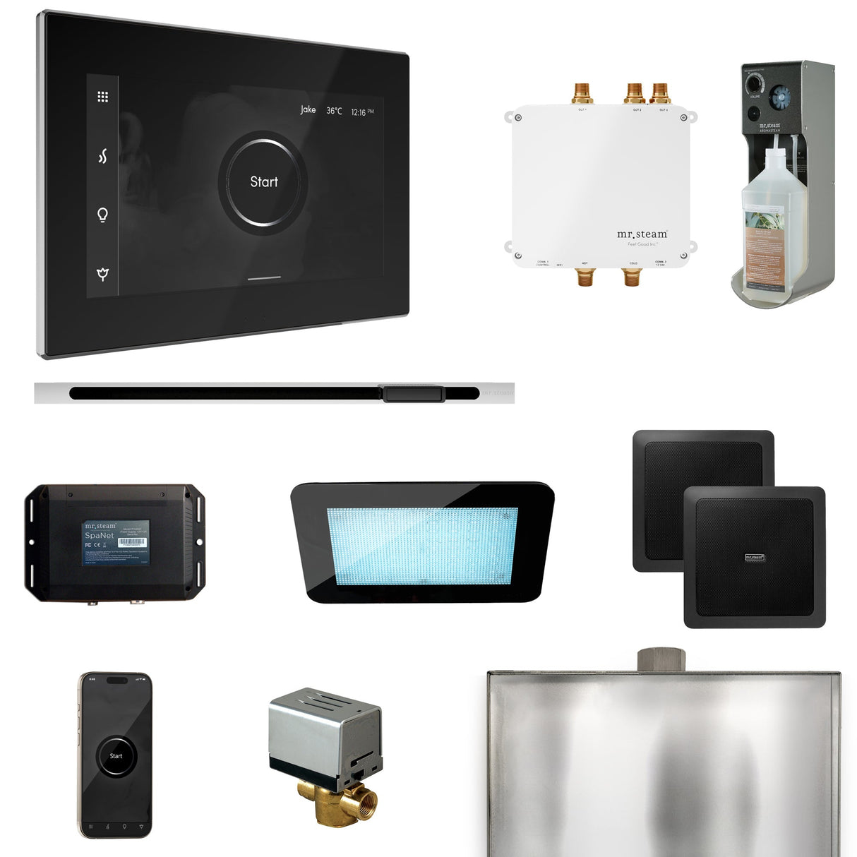 Mr. Steam Bliss Steam Shower Control Package with iSteamX Control and Linear Steamhead