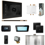 Mr. Steam Bliss Steam Shower Control Package with iSteamX Control and Linear Steamhead