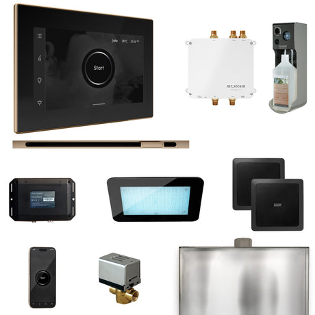 Mr. Steam Bliss Steam Shower Control Package with iSteamX Control and Linear Steamhead