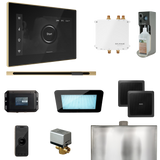 Mr. Steam Bliss Steam Shower Control Package with iSteamX Control and Linear Steamhead
