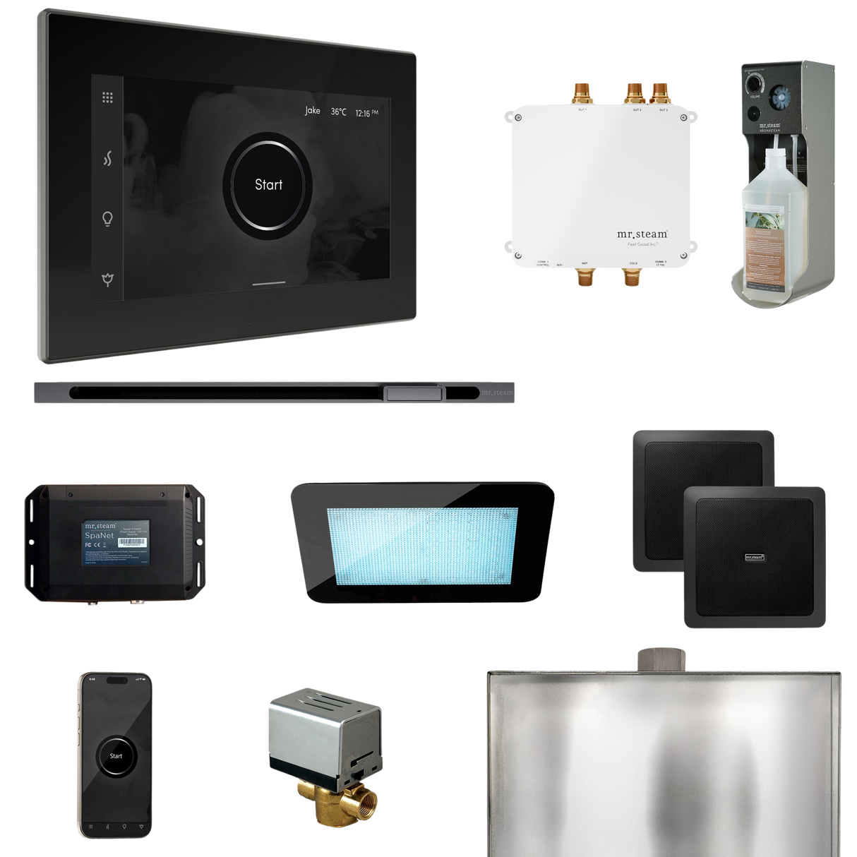 Mr. Steam Bliss Steam Shower Control Package with iSteamX Control and Linear Steamhead