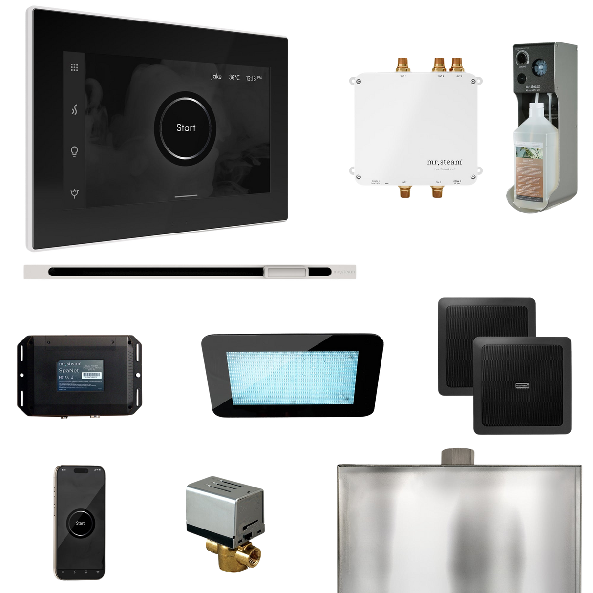 Mr. Steam Bliss Steam Shower Control Package with iSteamX Control and Linear Steamhead
