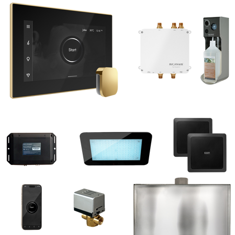 Mr. Steam Bliss Steam Shower Control Package with iSteamX Control and Steamhead