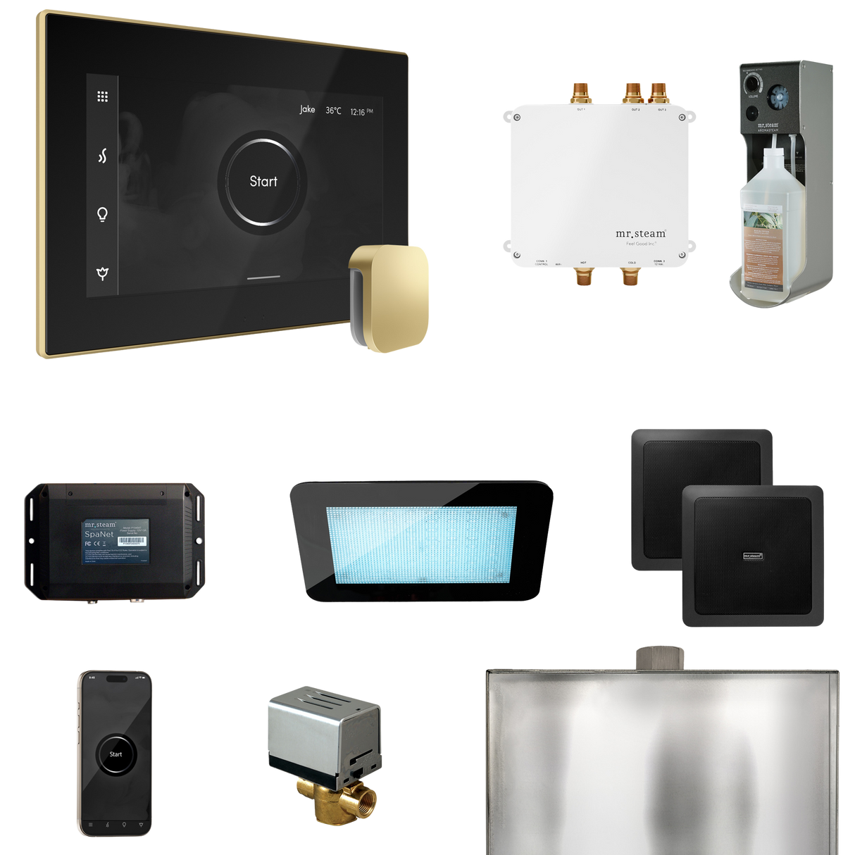 Mr. Steam Bliss Steam Shower Control Package with iSteamX Control and Steamhead