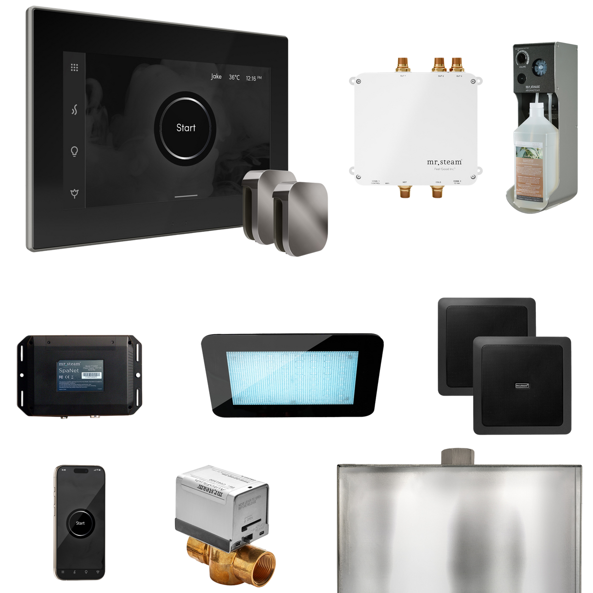 Mr. Steam Bliss Max Steam Shower Control Package with iSteamX Control and Steamhead