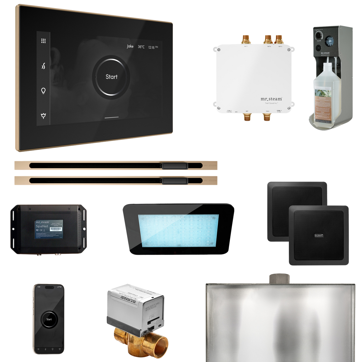 Mr. Steam Bliss Max Steam Shower Control Package with iSteamX Control and Linear Steamhead