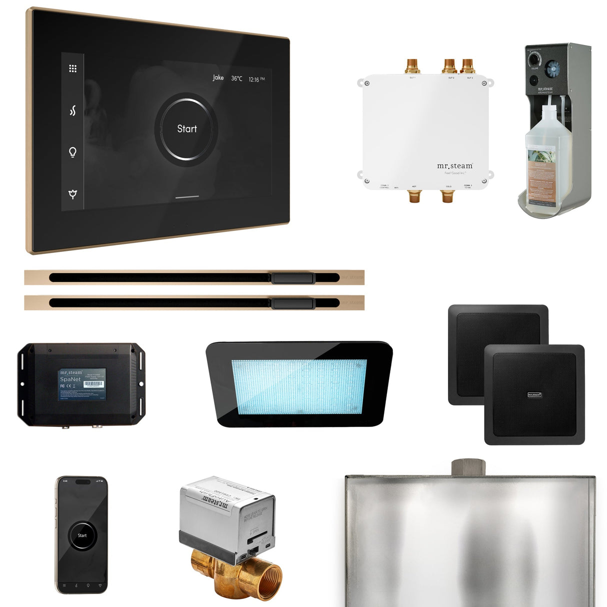 Mr. Steam Bliss Max Steam Shower Control Package with iSteamX Control and Linear Steamhead