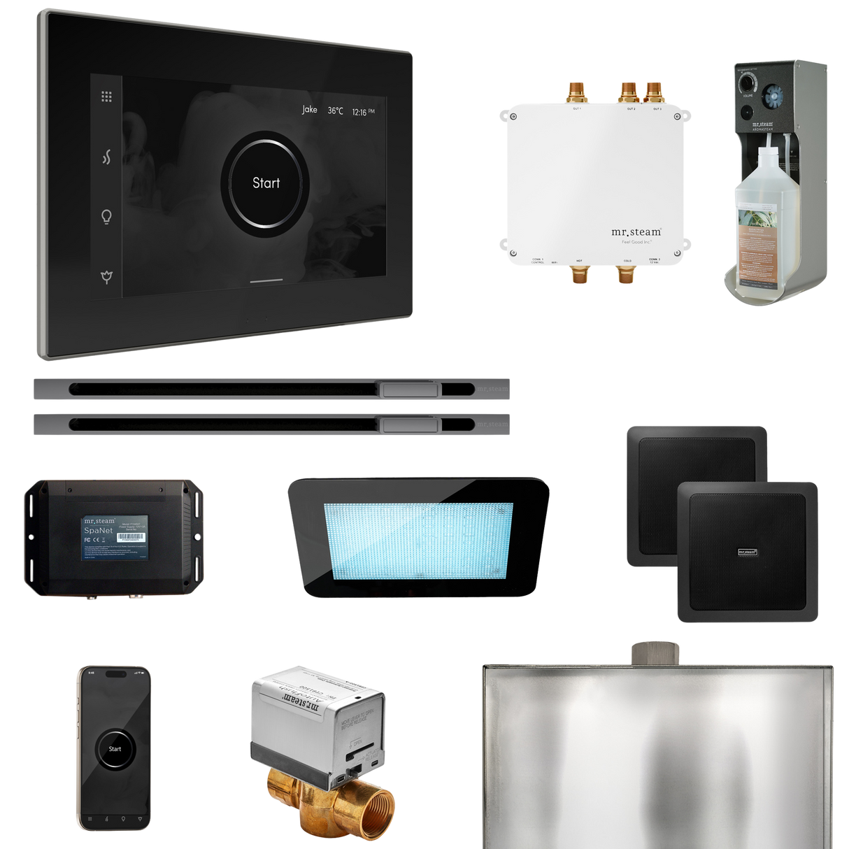 Mr. Steam Bliss Max Steam Shower Control Package with iSteamX Control and Linear Steamhead